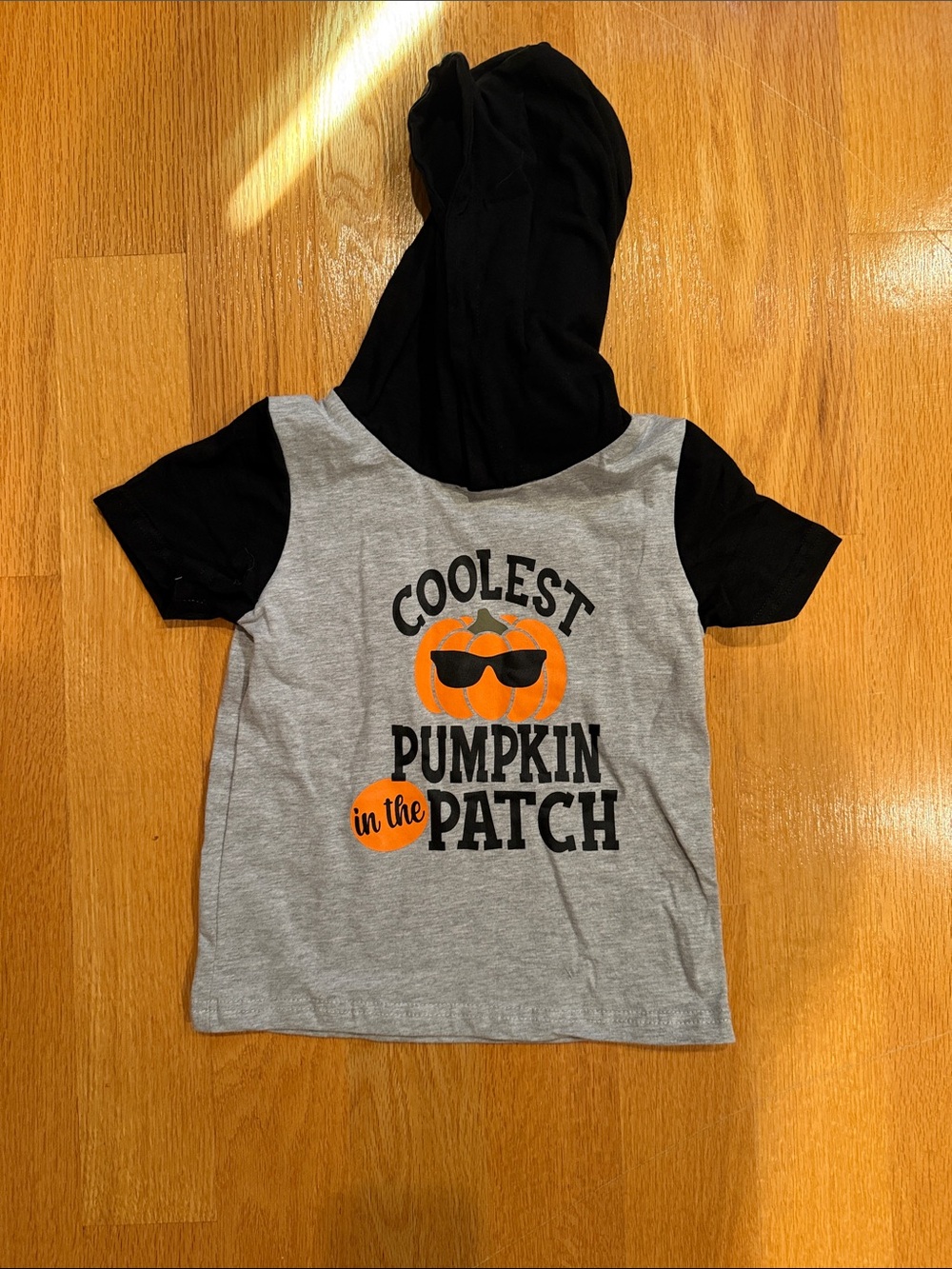 Coolest Pumpkin in the Patch Hooded Tee - Gray & Black